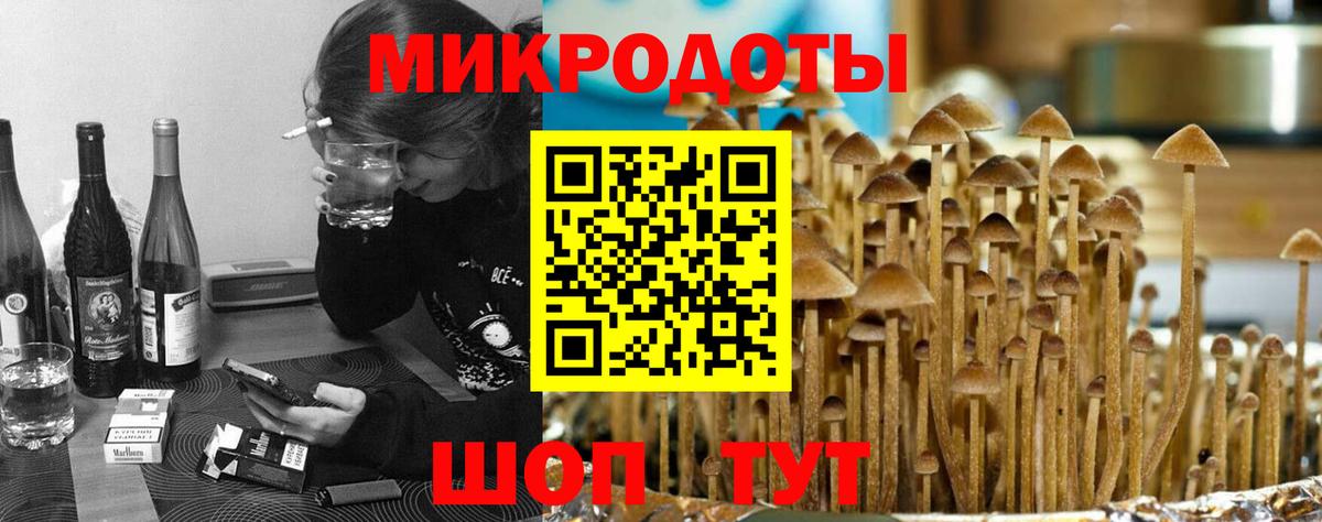хочу наркоту  Псилоцибиновые грибы Magic Shrooms  Вход с VPN  Кувандык 